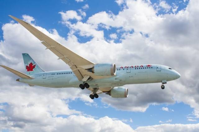 Travel Coordination Services Image